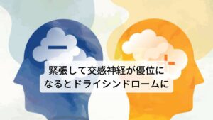 緊張して交感神経が優位になるとドライシンドロームに他にも外分泌腺の働きは自律神経によって調節されています。そのため日常的に緊張感が高まると交感神経が働き外分泌腺の働きを抑制させ、逆にリラックスすると副交感神経が働き外分泌腺の分泌を促します。心身にストレスがかかると交感神経が優位になってしまい、外分泌腺の機能が低下し、乾燥症状を引き起こしドライシンドロームになります。ストレスが多い現代社会では、男性や若い人でもドライシンドロームになる可能性があるのです。