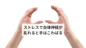 ストレスで自律神経が乱れると手はこわばる病院の検査で異常がない手のこわばりは主に自律神経の乱れ(自律神経の失調)によって起こります。
自律神経は血流の調整や情緒の変動による筋肉の収縮や弛緩などの変化にも関わっています。

そのため精神的なストレスなどにより自律神経が失調することで血流の調整がうまくできなくなったり、筋肉が緊張することで一過性に手がこわばることがあります。
実際に何か障害や病気に罹っていなくても自律神経の調整に不具合が起こるだけでも手のこわばりは起こります。※1