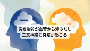 炎症物質が血管から滲みだし三叉神経に炎症が起こるこの痛みには血液の成分（ヒスタミンなど）が関わっています。
本来はこの血液成分は組織が損傷したとき（怪我をしたとき）に組織から滲み出てきますが、片頭痛は滲み出てくる原因は不明となっています。

発症のメカニズムとしては何らかの原因により三叉神経の周りを取り囲む血管から炎症を起こさせる血液成分が漏れてしまい、その漏れ出た成分が周囲に分布している三叉神経に刺激を与えて炎症が起きるというのがメカニズムになります。