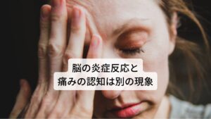 脳の炎症反応と痛みの認知は別の現象「患部に起きている炎症反応そのもの」と「実際に痛みとして感じる脳の反応」は切り離して別で考える必要があります。
この「脳が痛みとして認知し、実際に痛みとして感じる」という「痛みのメカニズム」に片頭痛が慢性化しやすい（なかなか痛みが治まらない）原因があります。