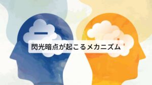 閃光暗点が起こるメカニズムこの閃光暗点の原因にはセロトニンという物質が働いており血管の拡張を防ぐ作用があります。
自律神経が失調することにより血中にこのセロトニンが多量に放出されることで脳の血管が一過性に収縮し血流量が低下します。

この血流量の低下によって閃輝暗点の症状が起きると考えられています。
その後、セロトニンが減少し血管が拡張することで血管周囲にある三叉神経を刺激し、頭痛がおこると考えられています。

そのため「ストレスが溜まっていてホッと一息ついたとき」などのシチュエーションはセロトニンによって収縮した血管が拡張するタイミングを作り出すことが多いため閃光暗点と偏頭痛が起こりやすいとされています。