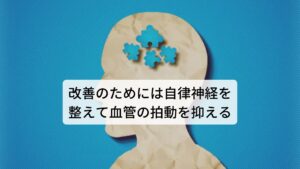 改善のためには自律神経を整えて血管の拍動を抑える三叉神経痛のほとんどは三叉神経と並行に走っている血管の圧迫による神経障害と解説しました。
そのため改善のためにはこの血管の強まった拍動を抑える必要があります。

この血管の拍動をコントロールしているのが自律神経とされています。
三叉神経痛になりやすい方またはすでになっている方の多くは自律神経の中でも交感神経の働きが優位になっている傾向にあり、全身の血管の拍動が高まっているとされています。

この交感神経を鎮静させて副交感神経の働きを高めることで三叉神経への血管の圧迫が治まり三叉神経痛が改善されます。※3