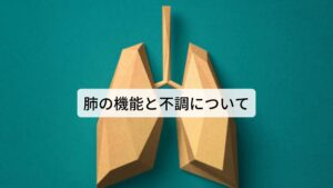 肺の機能と不調について【肺の働き】
①呼吸によって全身に気を巡らせます
②皮膚や毛の穴の開閉を管理し、体の熱を発散して体温調節をしています
③鼻と咽喉に関係しており声帯を管理しています

【気の不調】
宣発作用によって汗を出したり、老廃物を発散させたり、体温調節を肺は行います。
肺の機能が低下すると気の巡りが悪くなり不調が出やすくなります。
①呼吸異常
②倦怠感
③咳嗽
④自汗

【皮毛の不調】
外界からの病原（ウイルスなど）から身を守る防衛を皮毛は行います。
また毛穴の開閉の調節により体温調節も行います。
肺の機能が低下すると皮毛の働きが弱くなりウイルスや細菌などによる病気にかかりやすくなります。
①悪寒
②発熱
③咳嗽
④自汗
⑤寝汗
⑥鼻づまり

【鼻・咽喉の不調】
鼻は呼吸をするために肺と通じており、咽喉は声を出すために肺と通じています。
肺の機能が低下するとこれらの器官に不調が出てきます。
①鼻炎
②嗅覚低下
③鼻づまり
④鼻水
⑤咽喉の炎症