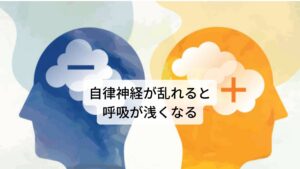 自律神経が乱れると呼吸が浅くなる緊張する場面で人は呼吸が浅くなったり頻回になることがあります。
これは一過性に自律神経である交感神経の高まりによって起こる反応です。

しかし、この反応は自覚していなくても起こります。
それがスマホやパソコン作業など目からの情報によるストレスが脳に与えられると起こる反応です。

身体的な運動がなく常に脳の情報処理を利用したデスクワークの人は自律神経が乱れて交感神経が高まり呼吸が浅く頻回な呼吸になりやすい傾向にあります。※1

※背中には交感神経幹(こうかんしんけいかん)と呼ばれる、交感神経が密になっている場所があります。
これによって背中の痛みが起こりやすくなります。
詳細な情報は下記のリンクからご覧ください。