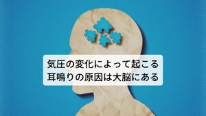 気圧の変化によって起こる耳鳴りの原因は大脳にあるそしてリンパ液による液体の振動は蝸牛にある基底板を揺らします。
その揺れが基底板に配列された感覚細胞に伝わります。

その揺れが電気信号に変換され、蝸牛神経に送られます。
この信号が脳幹を通り、大脳の聴覚野に伝わり、ここで初めて音として認識されます。

静かな家の中だけで起こるキーンとする耳鳴り、気圧の変化によって起こる耳鳴りなどの原因はこの大脳の聴覚野の過剰な反応により起こるとされています。