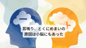 耳鳴り、とくにめまいの原因は小脳にもあっためまいや耳鳴りを訴える人が増えています。めまいや耳鳴りが起きる原因は、耳だけでなく脳の前庭小脳という部分にもあります。
たとえば、お酒を飲むとフラフラしますね。あれは前庭小脳がアルコールにおかされたからです。

また、髪を染めている人のなかには、毛染め液に使われるアニリン色素の誘導体が頭皮にしみ込み、前庭小脳に影響を及ぼすため、めまいや耳鳴りを感じる人がいます。※1