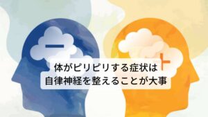 体がピリピリする症状は自律神経を整えることが大事この神経障害性疼痛を改善するためには交感神経を優位させている自律神経の不具合を改善するのが根本的な治療になります。

西洋医学では自律神経を改善するための治療法がありません。
そのため対処療法として薬が処方されますが効果は期待できません。

しかし、東洋医学の鍼灸や漢方は神経障害性疼痛を出現させている根本的な原因の体質を改善する治療ができます。※2