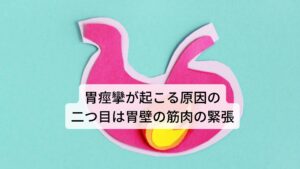 胃痙攣が起こる原因の二つ目は胃壁の筋肉の緊張二つ目の原因は、胃壁の筋肉の緊張によるものです。この筋肉の緊張が正式な胃痙攣になります。
胃壁の筋肉は自分の意志では動かせない筋肉に属しており、胃痙攣を引き起こすときも自分の意思とは関係なく発生しています。

この痙攣が「胃が勝手にピクピクと動いている感じ」という胃の違和感を引き起こすことがあり、さらに胃壁の筋肉の緊張が徐々に強まると激しい痛みになり「胃がバクバクする」という訴え方をすることがあります。

また胃炎が悪化しその痛みで胃壁の筋肉が刺激され、急激に緊張することでも胃痙攣を起こすこともあります。
そのため胃炎と胃痙攣には相互に関係していると考えます。