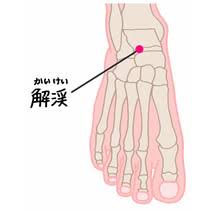 胃の動きが悪い症状を治すツボ【胃の動きが悪い症状を治すツボ】
・解谿(かいけい)・・・足首の関節の前、内くるぶしと外くるぶしを結んだ線の真ん中あたりのくぼみ。
【ツボマッサージのポイント】
やや親指を立てた状態でツボの周囲を押してとズーンと響くポイントがあります。
響くところを見つけたらじっくりと5秒間指圧したあとに力を緩めずに小さく円を描くようにマッサージしてみてください。
これを左右の手で3セット行います。