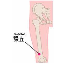 【治療例&効果の高いツボ 】椅子に座るたびに胃が痛くなる（40代女性）【治療の体験者＆改善方法】
40代の女性で「半年前から椅子に座るたびに胃がキリキリと痛む」との訴えでご来院されました。
当院にご来院される前に内科にて検査をうけたところ「軽い胃炎がある」程度の診断となり経過観察中とのことで胃薬が処方されたのみでした。

「座ると胃が痛くなる」という姿勢による不調ということもあり当院では胃に直接負担をかけている筋骨格へのアプローチを中心に治療を行い改善を促しました。


【主に利用したツボ】
胃の痛みや胃酸のコントロールによく用いるツボが梁丘になります。
・梁丘(りょうきゅう)・・・膝の皿の上端外側から指２本分上にある。