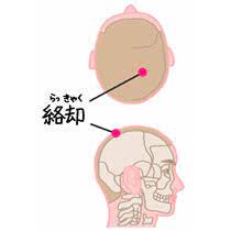 夜型から朝型へ変える効果的なツボ【夜型から朝型へ変える効果的なツボ】
・絡却（らっきゃく）・・・前髪際の後方5寸5分、後正中線の外方1寸5分にある。

【ツボマッサージのポイント】
四指（人差し指～小指）をやや立てた状態でツボの周囲を押してとズーンと響くポイントがあります。
響くところを見つけたらじっくりと5秒間指圧したあとに力を緩めずに小さく円を描くようにマッサージしてみてください。
深呼吸を行いながらこれを3セット行います。