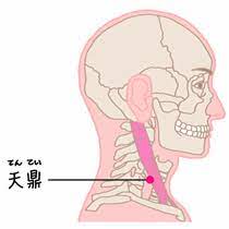 【治療例&効果の高いツボ 】後鼻漏でのどに流れて張り付く不快感がある（50代男性）【治療の体験者＆改善方法】
50代男性で「3か月前から後鼻漏でのどに流れて張り付く不快感がある」との訴えでご来院されました。

ご来院される前に耳鼻科にて3か月ほどBスポット療法を受けていましたがあまり改善されず当院にご来院されました。
当院では後鼻漏の具合、ストレス具合などをお伺いしつつ、東洋医学と西洋医学の両方の観点からお身体の状態をお調べしました。

状態はかなり強いストレスによって後鼻漏症状だけでなくヒステリー球（咽喉頭異常感症）も併発していると判断し、免疫力の向上とともに交感神経の興奮を鎮めることを鍼灸治療の目的としました。患者様の体質に合った東洋医学のツボを上手く利用し鍼灸治療で改善を促しました。


【後鼻漏で主に利用したツボ】
・天鼎(てんてい)・・・のど仏のすぐ下の軟骨(輪状軟骨)と同じ高さで、横首の筋肉(胸鎖乳突筋)の後側のへり。

※後鼻漏は体質改善によって治ります。
　詳しい解説は下記のリンクからご覧ください。