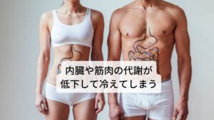 ②ホルモンの働きが低下することで内臓や筋肉の代謝が低下して冷えてしまうホルモンの中に甲状腺ホルモンや副腎髄質ホルモンなどがあります。
これらのホルモンの分泌が高まることで内臓や筋肉の新陳代謝が促進されて身体に熱が生まれるようになります。

これらのホルモンは視床下部の指令によって脳の下垂体が反応しホルモン分泌が促されます。
しかし、何らかの原因によりこれらの分泌が低下してしまうと代謝が落ちてしまい、身体全体の冷えを感じるようになります。

甲状腺ホルモンの低下である橋本病にはこの特徴的な症状である「身体の冷え」があります。