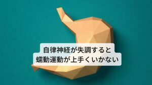 自律神経が失調すると蠕動運動が上手くいかないこの一連の流れをスムーズに行うためは自律神経の調整によって胃の働きをコントロールが求められます。
しかし、自律神経の働きが上手くいかないと胃酸と胃の粘膜のバランスが崩れたり、蠕動運動がうまくいかずに食べ物が胃に停滞したりします。

このような自律神経に関わる胃の機能的な不調は病院の検査では異常がみられない場合もあります。※1

※椅子に座ると胃が圧迫を受けて痛みを起こす場合もあります。
　詳しい解説は下記のリンクからご覧ください。