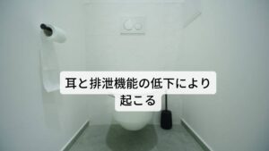 腎は上部では耳と関係があり、下部では生殖器や肛門と関係しています。
腎が低下するとこれらの器官に不調が起こります。

①耳鳴り
②大小便の異常