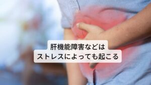 肝機能障害などはストレスによっても起こる肝臓は東洋医学では“肝かん”と呼び、血液の貯蔵や循環と自律神経の調整を働きとしています。

筋肉を使った肉体疲労だけでなく精神的なストレスなどによる疲労もこの肝臓は影響を受けます。

今回はこの肝臓の働きである自律神経の調整について東洋医学の考えで解説していきます。