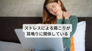 ストレスによる肩こりが耳鳴りに関係しているストレスが原因となる耳鳴りは、自律神経の乱れが関係しています。その自律神経に乱れを及ぼす原因の一つに肩こりがあります。
自律神経である交感神経と副交感神経がバランスを取りながら働くことで、全身の機能が調節されます。
しかし、ストレスを感じると、交感神経は活発になり身体は緊張状態となります。

この状態が続くと、交感神経優位の状態が続き、副交感神経とのバランスが崩れやすくなり、より身体の筋肉に緊張を及ぼします。
その結果、体調不良に陥ったり、耳鳴りが引き起こされる可能性があります。※3