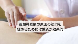 後頭神経痛の原因の筋肉を緩めるためには鍼灸が効果的後頭神経痛は皮膚表面を伸びているため触れ方によっては痛みが伴う部位になります。
このようなデリケートな部位には押圧などがかからない鍼灸治療が効果的です。

鍼灸治療は緊張した筋肉や絞扼されている神経にストレスをかけずに刺激し筋肉の緊張の緩和と神経による痛みを取り除きます。