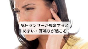 気圧センサーが興奮するとめまい・耳鳴りが起こる低気圧の状態になると内耳の「前庭器官」からの感覚情報が集まる延髄の細胞内で興奮状態になります。
この興奮状態が痛みを呼び覚ましたり、気分の落ち込みやめまい・耳鳴りなどを引き起こします。
最近増えている気象病によるめまいはこの気圧の変化に脳が興奮して反応しているのが原因になります。