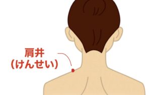 【改善例&効果の高いツボ 】後頭部の頭皮がジリジリする（30代男性）【治療の体験者＆改善例 】
30代男性で「3か月前から後頭部のあたりがジリジリと痛む」との訴えでご来院されました。
当院にご来院される脳神経外科や整形外科での診察を受けており、整形外科では「後頭神経痛の可能性がある」とのことで痛み止めの薬が処方されておりました。

しかし、薬を飲み続けても改善されず当院へご来院されました。
当院では改めて整形外科的な検査をし、痛みの原因である箇所を正確に把握しお調べしました。

当院での検査結果は整形外科の結果と同様に後頭神経痛と判断しました。
とくに後頭部に繋がる頚部の筋肉の緊張が強く、この筋緊張によって神経が圧迫し痛みとしびれを引き起こしていると考えました。

そのため当院ではこの原因である筋肉の緊張を緩めて神経への圧迫を緩和させる目的で鍼灸による改善を促す治療を行いました。

【主に利用したツボ】
・肩井（けんせい）・・・首のつけ根と肩先を結ぶ線の中央にあるツボ。