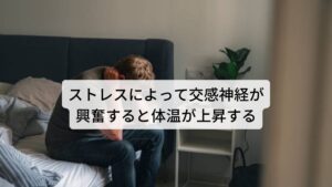 ストレスによって交感神経が興奮すると体温が上昇する本来、人間は睡眠時は自律神経の中でも身体を休ませるために働く副交感神経が働きます。

しかし、日中に身体にストレス等が強くかかることで自律神経の働きやリズムが乱れると、就寝中でも交感神経が働くことがあります。
交感神経はもともと日中に身体を活発に働かせるために体温を上げる働きがあります。

就寝中における背中が熱くなる原因にはこの交感神経の興奮による体温の上昇が関係しています。
またこの体温の上昇によって起きる身体の熱さが最も感じやすいのが背中と言われています。※2

※自律神経の乱れでは背中が冷たく感じる不調も起こすことがあります。
　詳しい解説は下記のリンクからご覧ください。