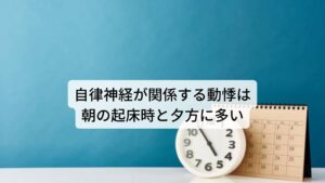 この自律神経の失調による動悸は起こりやすい時間帯があります。

それは「朝の起床時と夕方」の2つの時間帯です。
この2つの時間帯はさきほど解説したように自律神経が切り替わるタイミングになります。

朝の起床時は就寝中に高まっていた副交感神経が交感神経へと高まりが切り替わります。
また夕方は交感神経から副交感神経へと高まりが切り替わります。 このスイッチが上手くいかないと自律神経の働きに不調が起きて動悸が起こります。※3