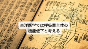 東洋医学では呼吸器全体の機能低下と考える東洋医学ではこのような呼吸器系に関わる臓腑である「肺」の機能が低下すると起こると考えます。
このような病態を「肺虚（肺のエネルギー不足）」といいます。

【肺の特徴】
肺の作用は宣発（噴水のような働き）と粛降（上から下へ降ろす）があります。
宣発と粛降の働きによって全身に栄養素や酸素を行き渡らせ、ガス交換、発汗作用、血液の濾過などを調整します。
また粛降の働きによって便の排泄作用が促進します。

【肺の働き】
①呼吸によって全身に気を巡らせます
②皮膚や毛の穴の開閉を管理し、体の熱を発散して体温調節をしています
③鼻と咽喉に関係しており声帯を管理しています

【鼻・咽喉の不調】
鼻は呼吸をするために肺と通じており、咽喉は声を出すために肺と通じています。
肺の機能が低下するとこれらの器官に不調が出てきます。
①鼻炎
②嗅覚低下
③鼻づまり
④鼻水
⑤咽喉の炎症 ※3