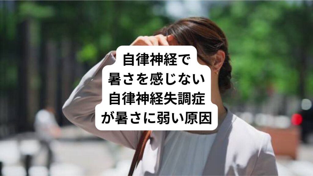 自律神経で暑さを感じない｜自律神経失調症が暑さに弱い原因