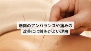 筋肉のアンバランスや痛みの改善には鍼灸がよい理由腰痛や仙骨周囲の痛みをとるためには緊張した筋肉を緩めることが重要です。
このような症状に第一選択としてマッサージや骨盤矯正を選ぶことがありますが、反り腰による腰痛は腰部の筋肉の中でも腰椎の安定を担う深い筋肉の痛みが出現していることが多いため、マッサージでは届きにくく骨盤矯正ではかえって痛みが起こる可能性があります。

さらにマッサージではうつ伏せで腰部を圧迫すると腰の反りが強くなる可能性もあります。
このような症状の場合は腰部や仙骨に圧迫するストレスを加えずに安全に深部の筋肉の痛みや緊張を取り除けるのは鍼灸治療です。