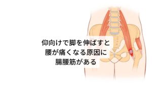 仰向けで脚を伸ばすと腰が痛くなる原因に腸腰筋があるまた腰痛でお悩みの方に「仰向けで脚を伸ばすと腰が痛くなる」という方が多くいらっしゃいます。
これは腸腰筋と呼ばれる筋肉が関係しています。腸腰筋は腰椎と大腿骨を結ぶ筋肉で普段は歩行など脚を持ち上げるときに使う大きな筋肉です。

この腸腰筋は仰向けで両脚を伸ばす姿勢をとると緊張している状態になります。このとき腸腰筋が付着している腰椎も同時に引っ張られる状態になります。
これが仰向けにおける反り腰の状態です。（仰向けで脚を伸ばしたときに腰に空間がある人はこの腸腰筋が緊張して引き延ばされています）

そのため仰向けでも常に反り腰の状態であるため腰椎が狭くなり腰痛が出やすい状態であると考えられます。※2