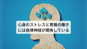 心身のストレスと胃腸の働きには自律神経が関係しているストレス性胃腸炎でお悩みの方の多くは慢性疲労、睡眠不足、寒暖差など身体的なストレスや不安、悩みなど精神的なストレスを受けると、「食欲がなくなる、胃がもたれる、胃が痛くなる、お腹を壊しやすい」といった不調を経験したことがあるとおもいます。

とくにお腹を下すようなものを食べてなくてもお腹が痛くなったり下痢をしてしまったりするのがストレス性胃腸炎ですが、この不調を及ぼしている心身のストレスと胃腸の働きの間には「自律神経」という胃腸をコントロールしている神経が関係しています。※1