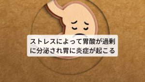 ストレスによって胃酸が過剰に分泌され胃に炎症が起こるストレス性胃腸炎は過度な不安や緊張、イライラした時など心理的ストレスによってみぞおちや腹部に胃腸炎の症状があらわれる病気です。
この心理的ストレスによって自律神経の中でも交感神経という身体を興奮させる神経を働かせます。

主に交感神経は筋肉を緊張、血圧を上昇、心拍数の上昇などを起こします。
しかし、交感神経は血液の循環や筋肉だけでなく消化管でも働きが活発になります。

発生直後は交感神経の興奮によって胃酸の分泌が急激に減少するのですが、バランスを保つために副交感神経が過剰に働き始めて胃酸の分泌が増大し胃壁に炎症が起こります。この過剰な胃酸の分泌がいわゆるストレス性胃腸炎の胃痛になります。※2