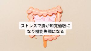 ストレスで腸が知覚過敏になり機能失調になるまたストレス性胃腸炎の腸の不調は下痢や便秘を中心に、腹痛、腹部膨満感などの不快な症状を出現させます。
原因は胃炎のときと同様にストレスにより自律神経が乱れることによります。

自律神経が乱れると腸の反応が知覚過敏になり、腸が過剰に蠕動運動を働かせたり、逆に運動しなくなったりと機能に不具合が生じてしまいます。
これが便秘や下痢を交互に繰り返す原因となります。※3