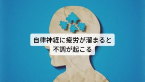 自律神経に疲労が溜まると不調が起こる自律神経は内臓から視覚や聴覚など全身にある器官を交感神経と副交感神経の二つで調整しています。

時間帯（日中や夜間）、行動（歩くや走る）、環境（寒さや暑い）など場面に応じて適した器官の働きを調整することで人体への負荷を減少させて健康を保っています。
しかし、ストレスや疲労などの負荷を身体が受け続けると自律神経に疲労が溜まり不具合が生じてきます。

自律神経失調の症状は人それぞれ様々な不調がありますが、昼寝後に気持ち悪さが出現するのもこの自律神経の疲労や乱れによって起きていると考えます。※1