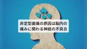 非定型歯痛の原因は脳内の痛みに関わる神経の不具合非定型歯痛とは、歯や歯茎などに原因がなく生じる歯痛のことをさします。
初期は抜歯や治療などの処置後の痛みだと判断し治療を続けますが、なかなか痛みが治まらず症状が悪化したり慢性的なしぶとい痛みに以降することがあります。

この症状が起こる原因には脳内の痛みに関わる神経ネットワークの不具合や、心理的葛藤（不安やうつなど）などによって痛みの閾値（痛みの感じやすさ）が下がっていると考えられます。
そのため西洋医学では脳・中枢神経の問題として捉えて対処療法の抗うつ薬や抗不安薬などを処方することがあります。

非定型歯痛の多くは主訴が「抜歯や治療などの処置後の痛み」ということもあり、結果として非定型歯痛の発見と正しい治療が遅れてしまう傾向にあります。
そのため早い段階で歯科領域外の治療を行うことが重要です。