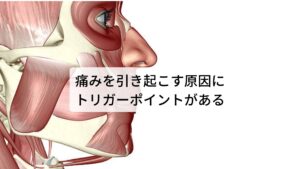 痛みを引き起こす原因にトリガーポイントがあるトリガーポイントとは、「全身の筋肉の硬結(こり)を指圧刺激で鋭く身体の深部に感じる痛み（鈍い響き）を発する限局性のポイント」といいます。
このトリガーポイントの特徴的な反応は指圧刺激だけでなく自発痛（何もしてなくても痛みが起こる）も起こります。

その自発痛を関連痛(かんれんつう)と呼びます。
この関連痛は「原因となるトリガーポイントから離れた場所に痛みが感じるように脳が錯覚する」というものです。

肩こりから起こる歯痛の場合は原因となる筋肉のトリガーポイントが首や肩の筋肉にあり、このトリガーポイントが顎や歯に痛みが起きているように脳が錯覚するという状態をさします。※2