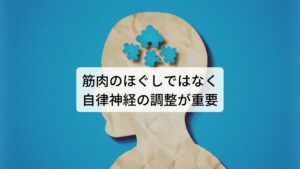 筋肉のほぐしではなく自律神経の調整が重要「肩こりは筋肉の緊張や張り感そのものが原因」と一般的には考えられており、改善方法としてマッサージや指圧など整体による「筋肉のほぐし」を選択する方が多いかと思います。
しかし、肩こり症状の他に睡眠障害や不眠症状を併せて呈するものは単純な筋肉疲労による筋肉のこりが起きているわけではなく、根本的な原因には中枢神経である交感神経の過緊張や乱れといった自律神経の不調によるものが考えられます。肩こりの方に「そんなに首や肩を酷使した覚えがないのに肩がこる」「考え込んだり、頭を使うだけで肩や首や張ってくる」という経験がある場合、多くは自律神経の不調による肩こりであり睡眠障害や不眠症状などをもっている傾向にあります。そのため改善のためには「筋肉のほぐしではなく自律神経の調整が重要」と考えられています。