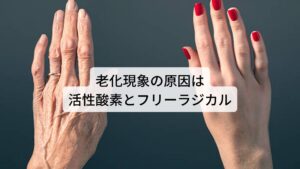 老化現象の原因は活性酸素とフリーラジカル身体に様々な不調を引き起こす身体の酸化ですが、この酸化を引き起こす原因に「活性酸素」と「フリーラジカル」という物質があります。
この活性酸素とフリーラジカルは身体の細胞を酸化させて傷つける働きがあるため、体内に蓄積されていくと細胞がどんどんと傷ついてしまい老化現象が起こってしまいます。

若年層であれば、この活性酸素やフリーラジカルに対抗する抗酸化物質(抗酸化力)によって身体の酸化を抑制させることができるのですが、この抗酸化物質は40歳以降から急速に低下すると言われているため、抗酸化物質を補うことをやめてしまうと、どんどん抗酸化力の低下に拍車がかかり、老化スピードが加速してしまいます。※1