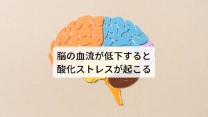 脳の血流が低下すると酸化ストレスが起こるヒトは飲食物から身体を動かすエネルギーを生成するために、呼吸によって酸素を取り込みます。その際、一部の酸素は「活性酸素」や「フリーラジカル」という物質に変わります。

この活性酸素やフリーラジカルは、他の物質や細胞に結びついたり働きかけたりする力が非常に強く、生命活動に欠かせないDNAやタンパク質といった物質を傷つける働きをします。このような体内の活性酸素が自分自身を酸化させようとする力を「酸化ストレス」と呼びます。

脳の血流低下によってこの酸化ストレスが起こり脳の細胞も傷つけてしまうとされています。
この脳における酸化ストレスはアルツハイマー病やパーキンソン病など高齢者に多い病気だけでなく、思考力の低下や意欲の低下など脳の疲れによる不調も引き起こすとされています。※2