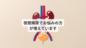 その中でも特徴的なものに「最近、夜中にトイレで目覚めるようになった」や「頻尿の漢方を飲んでいるがあまり効かない」「なるべく薬を飲まずに夜間頻尿を治したい」などのお悩みを抱えている方が多い傾向にあります。

夜間頻尿は高齢になると夜中の睡眠状態から暗い中で立ち上がりトイレに向かうことで転倒によるケガ、骨折のリスクも高まります。
「老化によるものだから」と思ってしまいがちですが、意外な原因が潜んでいる場合があります。

今回は「夜間頻尿に即効性のある鍼灸のツボ」と題して夜間頻尿が起こる原因と改善につながる東洋医学のツボと漢方薬を解説します。