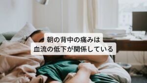 背中の痛みは血流の低下が関係しているまた背中の痛みが起こる人で「朝起きると背中が痛い」という方も多くいらっしゃいます。

この寝起きの背中の痛みが起きる原因には「起床時の血流の低下」が考えられます。
就寝中は生理的に血流をゆっくりになり体温が下がり睡眠の質を高めて身体の回復を促す状態になります。

この体温が下がることが全身の筋肉の温度も下げることになり筋肉や関節が硬くなる傾向にあります。
そのため起床直後はまだ身体を活発に動かすための準備の時間帯であるため血流が緩やかで筋肉が硬い状態になります。

この状態で背部を動かしたりすると筋肉や関節の動きが硬くて鈍いため痛みが起こりやすいと考えられます。※2

※首を回したときに起こる背中の痛みについては別のページで解説しています。
　詳細な情報は下記のリンクからご覧ください。