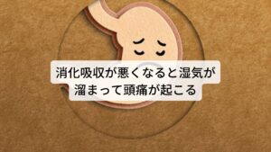 消化吸収が悪くなると湿気が溜まって頭痛が起こる東洋医学では「どんな病でも食欲があり、消化吸収が安定していれば病は治りやすい」と考えられています。
食べた物がしっかり吸収できれば身体のエネルギー源である「気血(きけつ)」が生成され、気力体力が養われると考えるからです。

しかし、消化不良など胃腸の不調が起こると飲食物が消化されずにそのまま胃に残ってしまいます。
この飲食物の水分(湿気)が胃に停滞し続けると湿気を生み出し臓腑(内臓)を傷つけてしまいます。

このときも頭痛が起こりやすいとされています。
消化不良による停滞した湿気が頭痛を生み出すということです。