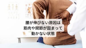 腰が伸びない原因は筋肉や関節が固まって動かない状態長時間のデスクワークなどでイスに座っていると立ち上がったときに「腰が伸びずに鈍い痛みを感じる」といった症状が出ることがあります。
この症状が出る原因には長時間の同じ姿勢によって腰の筋肉や関節が硬くなり可動域が低下していることによります。

多くの方が椅子に座っている姿勢は腰椎が後湾（腰が丸まっている状態）した状態で固まっているため、立ち上がったときに無理に起こる腰椎前彎（腰が反る姿勢）がストレスとなり鈍い痛みが起こると考えられます。※1