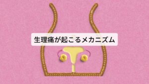 生理痛が起こるメカニズム女性が妊娠のするために卵胞ホルモンが分泌され子宮では排卵の準備が起こります。
卵管から卵子が送り出され子宮に運ばれたときに黄体ホルモンが分泌されます。

この黄体ホルモンにより子宮全体の壁が厚くなり妊娠の準備が整います。
この厚くなった子宮に受精卵が着床すれば妊娠しますが、妊娠が成立しない場合は子宮内膜が周期性により役目を終えます。

厚くなった子宮内膜が剥がれ落ち血液とともに体外に排出されます。
これが経血になります。

この排出の際に生理痛(月経痛)の原因となっているプロスタグランジンというホルモンが分泌されます。
このプロスタグランジンの分泌によって起こる強い子宮の収縮が痛みや不調の原因です。

この女性ホルモンの増減や経血（血液）の排出が要因となって起こるのが情緒不安定になります。※1