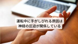 運転中に手がしびれる原因は神経の圧迫が関係しているこのような手を挙げて起こるしびれを胸郭出口症候群(しゃかくきんしょうこうぐん)と呼びます。
斜角筋と呼ばれる首の筋肉の緊張によって起こる神経障害です。

腕や手にかけて伸びる神経は首から出ていますが、この首から手に向かって神経が伸びる途中に首の筋肉である斜角筋の隙間を通って腕に向かいます。
よって、この斜角筋が過緊張を起こすと神経の通る隙間が狭くなり圧迫起こります。

この状態で腕を挙げると自然と斜角筋が収縮してしまい神経圧迫を強く起こし、この圧迫によって腕や手にしびれが起こるというのが胸郭出口症候群のメカニズムです。
日常的に首こりや肩こり、猫背姿勢の人が起こりやすい傾向にあります。※1