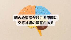 朝の絶望感が起こる原因に交感神経の興奮がある「朝の絶望感」がある方の多くは午前中に強く症状が出現し、午後になると少しずつ動けるようになり夕方から夜になると症状が楽になることが多いのが特徴です。

この朝の絶望感が起こる原因に不安・ストレスで交感神経を刺激されることで睡眠が浅くなっていることがあげられます。
交感神経は身体を興奮状態にさせる働きがあります。

通常は夜間〜朝にかけて働きが抑制されているはずなのですが、ストレスの影響が強い方は睡眠中でも交感神経が活発化に働きやすくなっています。
そのため結果として睡眠の質が低下して深い睡眠を得にくなり、意図しない時間に目が覚めてしまいます。

この状態が続くことで起床時に朝の絶望感が発生すると考えられています。※1