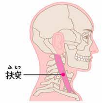 【ツボ②】扶突（ふとつ）
【場所】喉仏の指3本分外側
【押し方】デリケートなツボなので人差し指＋中指＋薬指の3本を使ってゆっくりと円を描くようにマッサージします。
ここでも少し「ズーン」とした場所があればそこを刺激します。
【お灸】首はデリケートなところなので1日1回のみ据えてください
【解説】喉や鼻の不調を改善する特効穴（とっこうけつ）です。とくに自律神経の乱れによる喉の詰まりや違和感にはよく効くツボです。