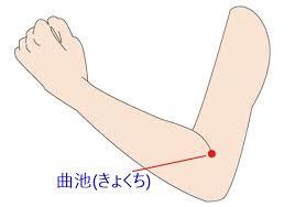 上咽頭炎に効果的な東洋医学のツボを紹介【ツボ①】曲池（きょくち）
【場所】肘を曲げたときにできるシワの端っこ
【押し方】親指でツボ周辺を優しくグリグリと押しながら「ズーン」と響くポイントを探します。
「ズーン」というポイントを見つけたらゆっくりと垂直に指圧をして「ズーン」を3秒ほど持続させ力を抜きます。
これを3回ほど繰り返してください（左右3回ずつ）
【お灸】朝晩の2回ずつが効果的です
【解説】鼻や喉などに経絡（エネルギー線）が伸びているツボです。
万能のツボとして知られており刺激することで新陳代謝が高まり鼻や喉の不調が改善すると考えられています。