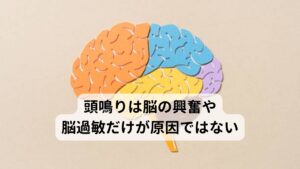 頭鳴りは脳の興奮や脳過敏だけが原因ではない現段階では頭鳴りは「脳の機能の興奮である脳過敏症候群」が有力ではありますが、全ての頭鳴り（耳鳴りを含む）症状の方がこれに該当するわけではありません。
その理由の一つに「薬を飲んでも効果が出ない、治らない」というものがあります。

頭鳴り症状を有する患者様の多くは「生活全般における不安やストレス」さらに加えて「頭鳴りが治らないことそのものへの不安」といった患者様ご自身の内面から作り出しているストレスが要因であることが多々あります。
そのため「脳の興奮を抑えるために薬を飲む」という習慣をしたとしても自ら生み出しているストレスを「生み出さないようにする、作り出さないようにする」というプロセスを通らない限り頭鳴りは治らないと考えます。