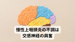 慢性上咽頭炎の不調は交感神経の興奮慢性上咽頭炎で起こる不調の多くは上咽頭部における炎症が自律神経を刺激して起こると考えられています。
この刺激される自律神経には「交感神経」という心身を興奮させる機能の神経が関わっているため、慢性上咽頭炎になる人の多くにはこの交感神経の興奮によって起こる不眠、喉のつまりなどが起こるとされています。

また自律神経の乱れによって精神的ストレスも生まれやすいためイライラなども起きやすい傾向にあります。※1※2